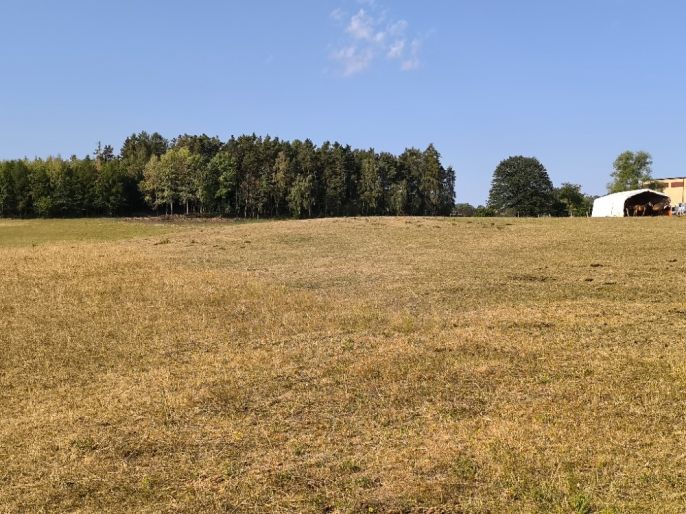 Prodej, Louka, Hoslovice