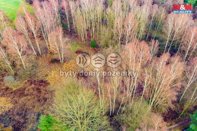 Prodej, Louka, Arnoltice