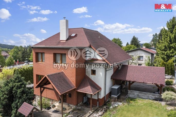 Prodej, Rodinný dům, Borová