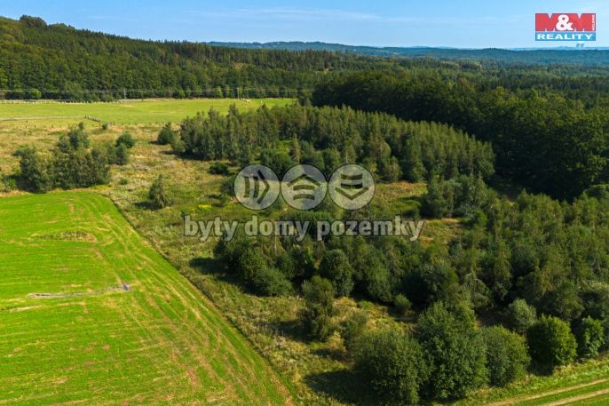 Prodej, Zemědělská usedlost, Hracholusky