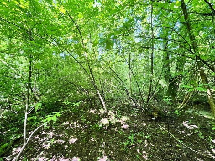 Prodej, Vodní plocha, Skalice u České Lípy