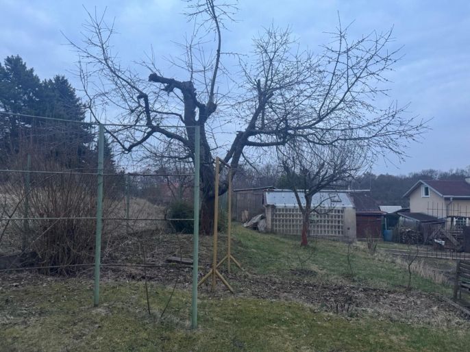 Prodej, Zahrada, Litvínov