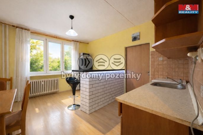 Prodej, Byt 1+1, Plzeň