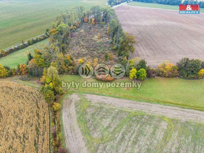 Prodej, Zahrada, Opatovice nad Labem