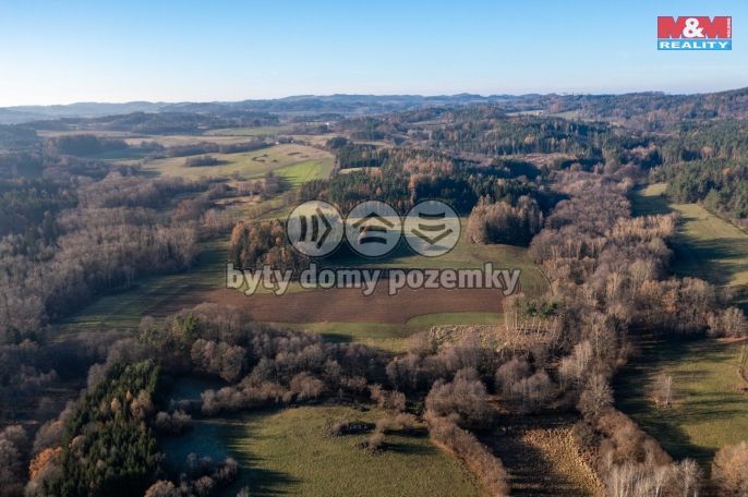 Prodej, Les, Nalžovské Hory