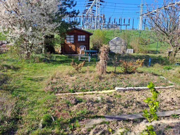 Prodej, Zahrada, Brno