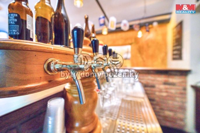 Pronájem, Obchod a služby, Plzeň