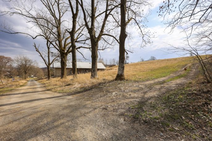 Prodej, Ostatní, Světlá Hora