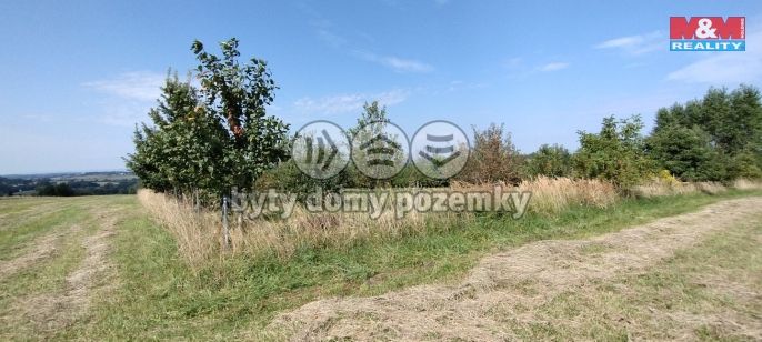 Prodej, Zahrada, Příbor