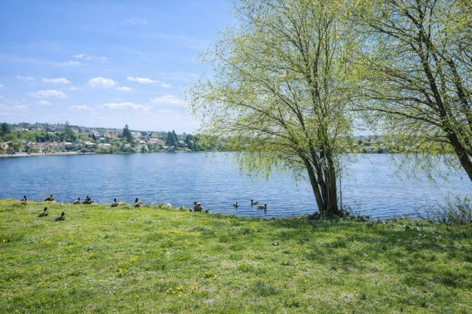 Prodej, Vodní plocha, Svojšice