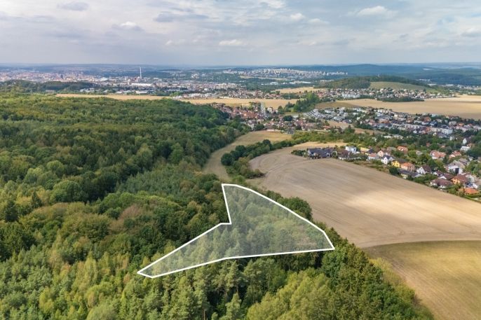 Prodej, Les, Plzeň