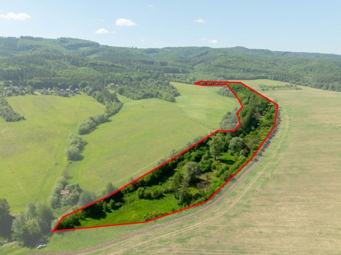 Prodej, Louka, Roštín