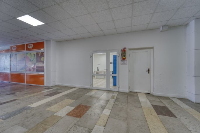 Pronájem, Obchod a služby, Třemošná