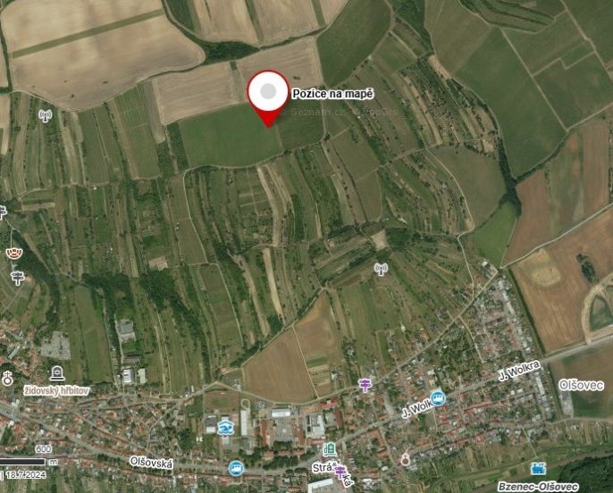 Prodej, Vinice, Bzenec