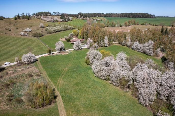 Prodej, Pozemek k bydlení, Břasy