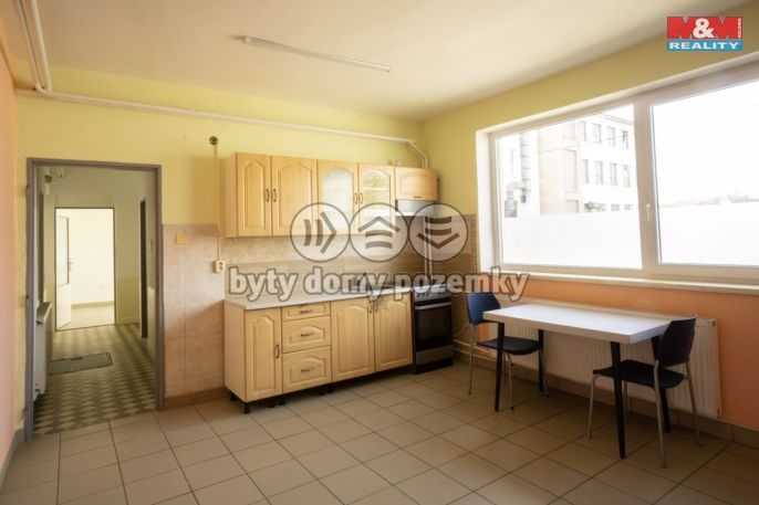 Prodej, Výrobní objekt, Boršice