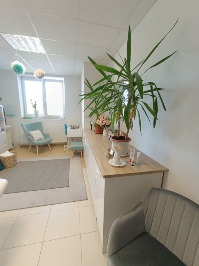 Pronájem, Obchod a služby, Tišnov