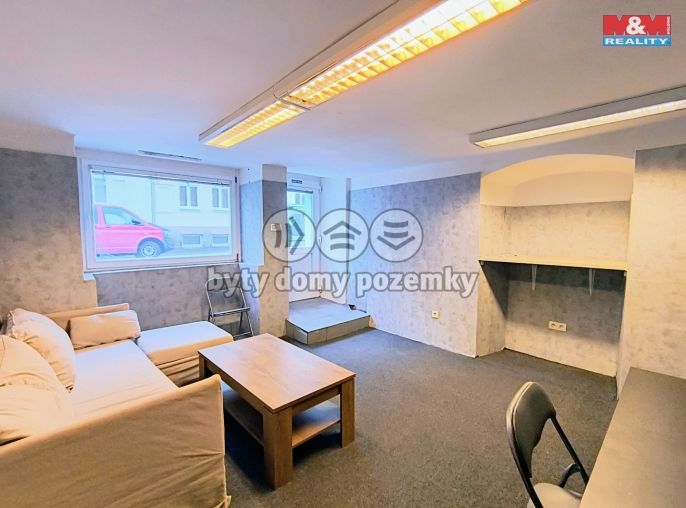 Pronájem, Obchodní objekt, Slaný