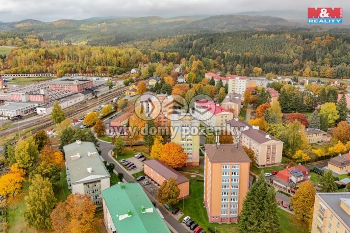 Prodej, Nájemní dům, Nová Role