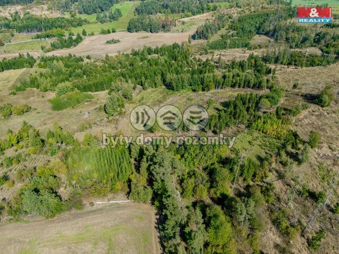 Prodej, Les, Horní Heřmanice