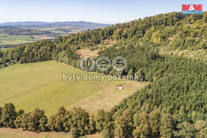 Prodej, Louka, Kdyně