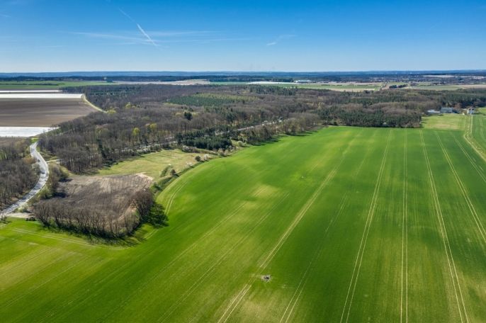 Prodej, Pole, Benátky nad Jizerou