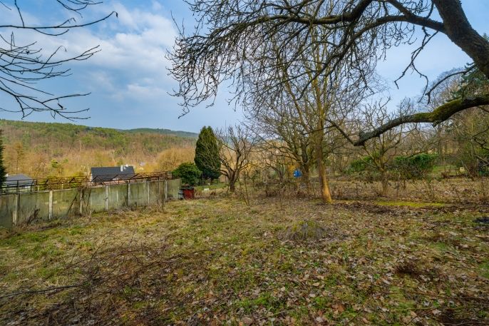 Prodej, Zahrada, Děčín