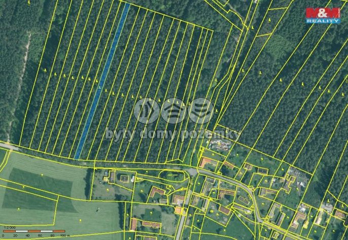 Prodej, Les, Dražíč