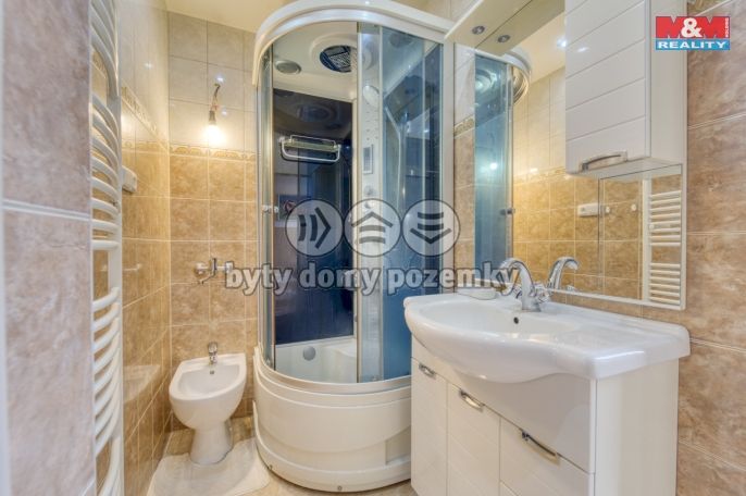 Pronájem, Byt 3+kk, Plzeň