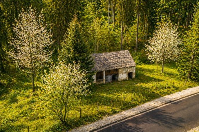 Prodej, Pozemek k bydlení, Hartmanice