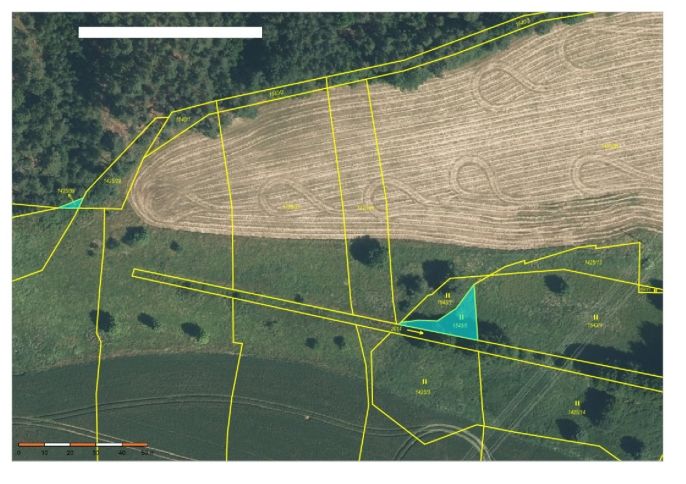 Prodej, Pole, Kladruby