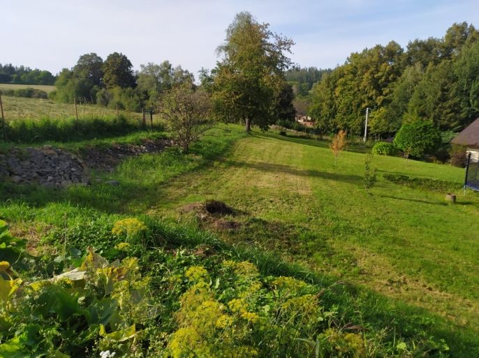 Prodej, Rodinný dům, Město Albrechtice