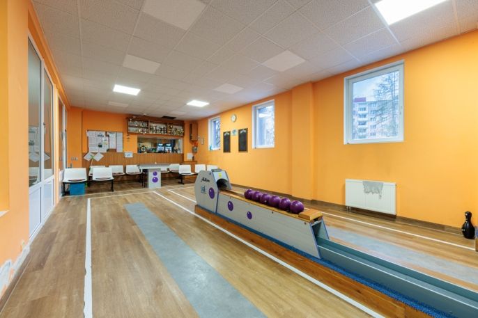 Prodej, Hotel, penzion, Chodov