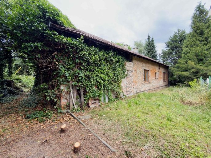 Prodej, Rodinný dům, Dětmarovice