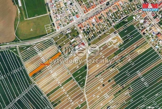 Prodej, Vinice, Hrušky