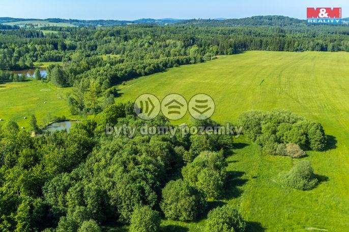 Prodej, Pole, Krásná Lípa