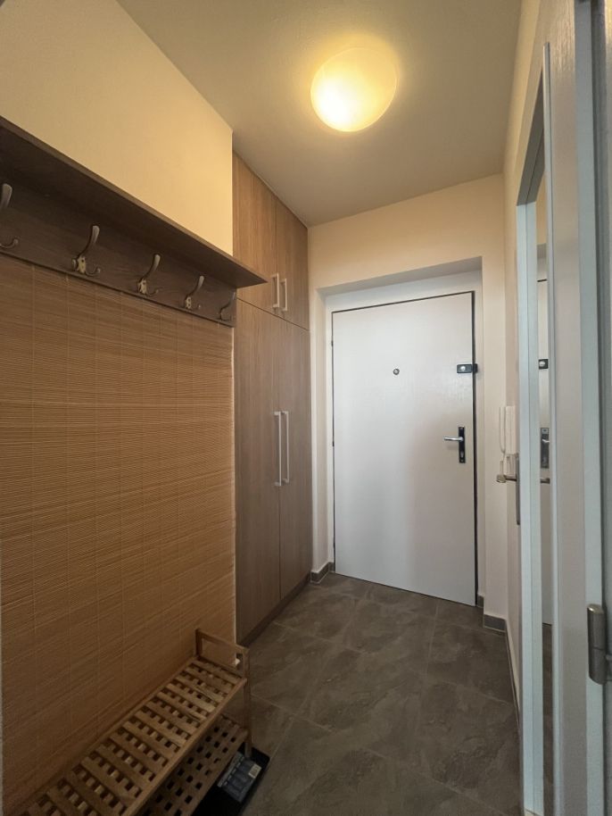 Pronájem, Byt 1+kk, Zlín