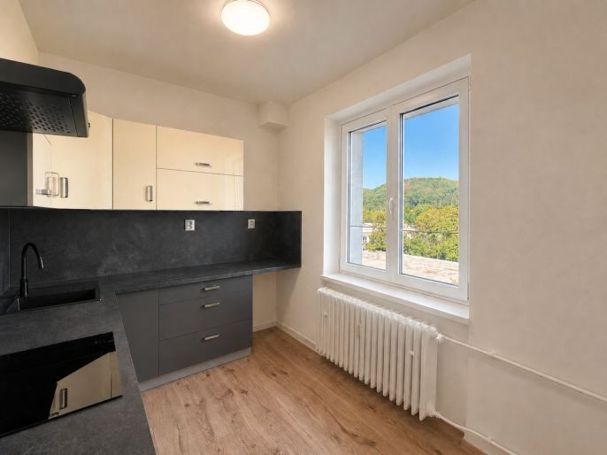 Pronájem, Byt 2+1, Litvínov