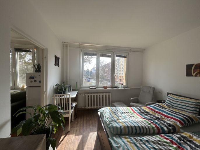 Pronájem, Byt 1+1, Ústí nad Labem