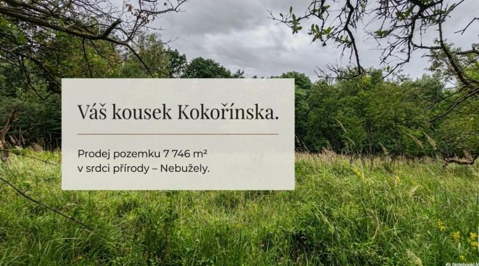 Prodej, Ovocný sad, Nebužely