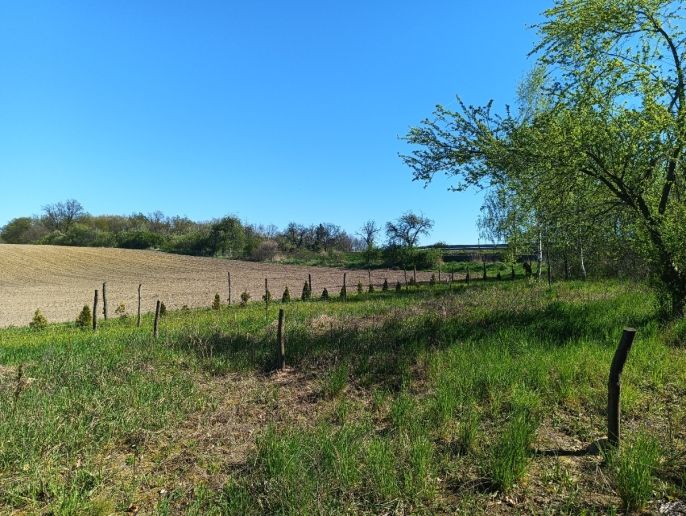 Pronájem, Zahrada, Sezemice