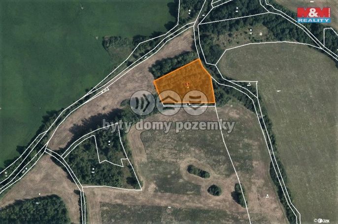 Prodej, Les, Mašťov