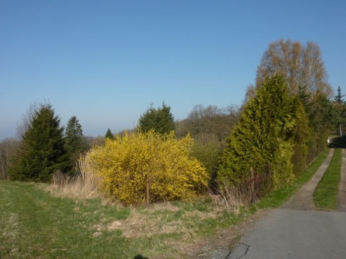 Prodej, Chalupa, Náchod