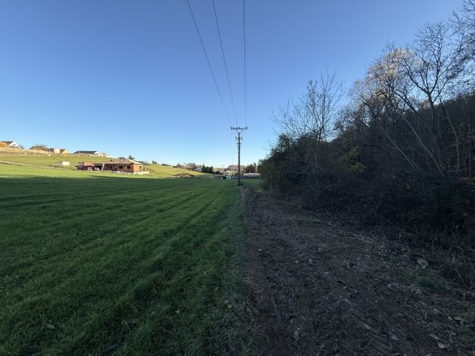 Prodej, Les, Velká Polom