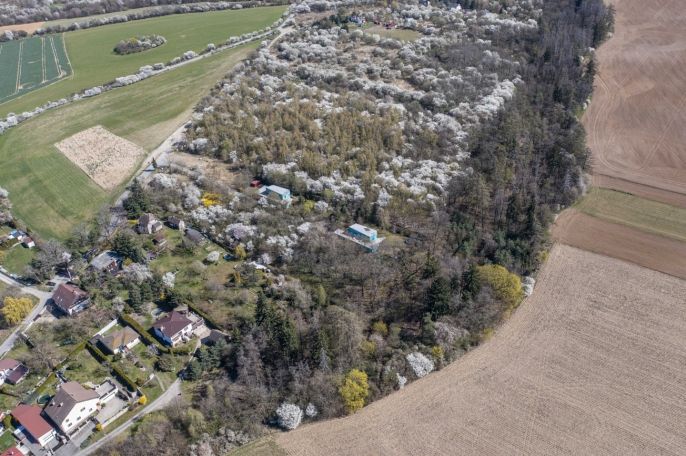 Prodej, Pozemek k bydlení, Škvorec