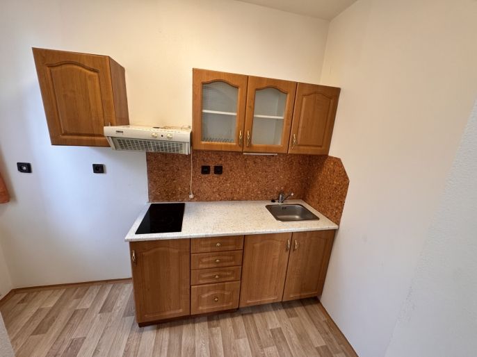 Pronájem, Byt 1+1, Jinočany