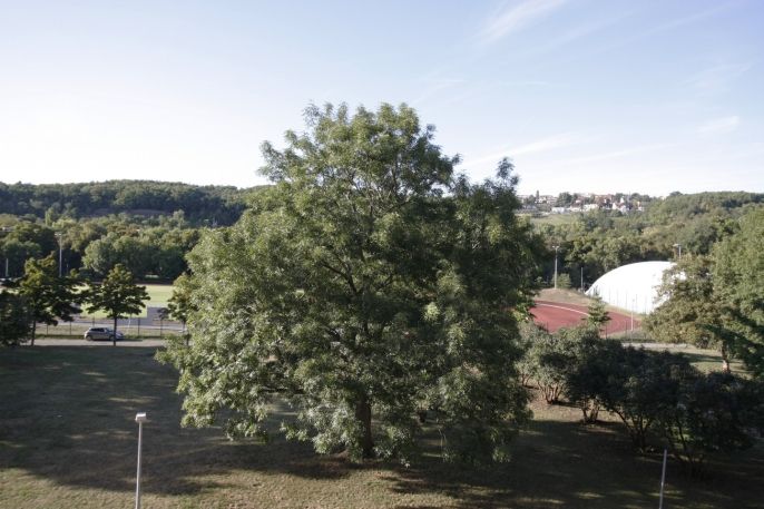 Pronájem, Byt 2+kk, Praha