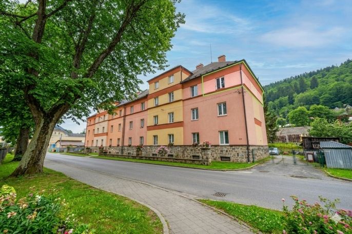 Prodej, Byt 2+1, Hanušovice