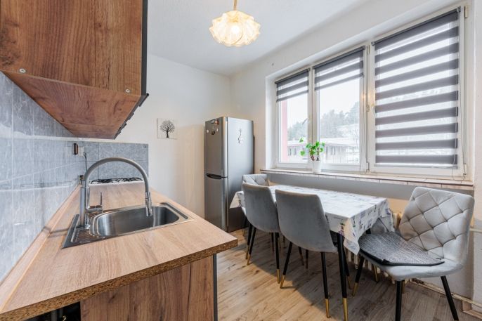 Prodej, Byt 1+1, 41 m², Habartov, Raisova