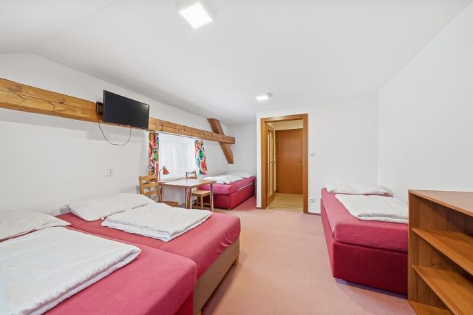 Prodej, Hotel, penzion, Čenkovice